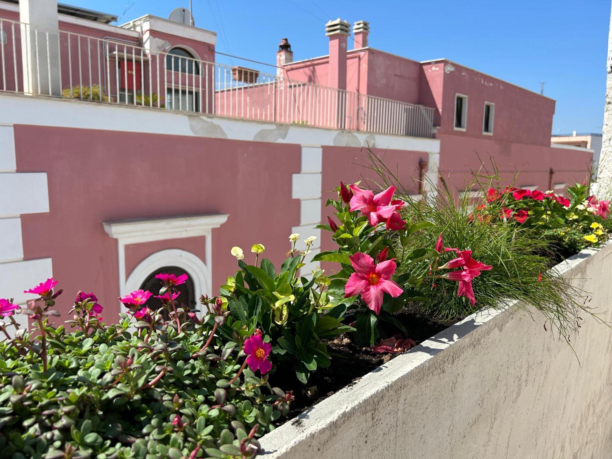 Trame Dimora Rachele Acomodação com café da manhã Polignano a Mare Exterior foto